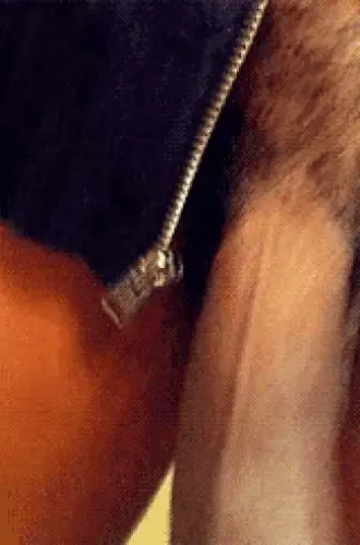 BBC