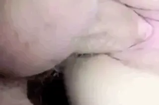 Why Creampie Is The Best