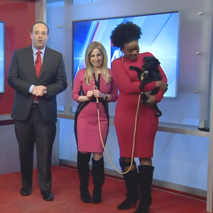 Sexy in pink and black