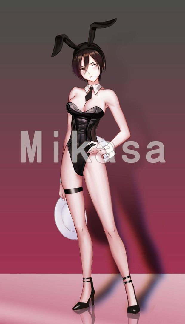 Mikasa bunny suit