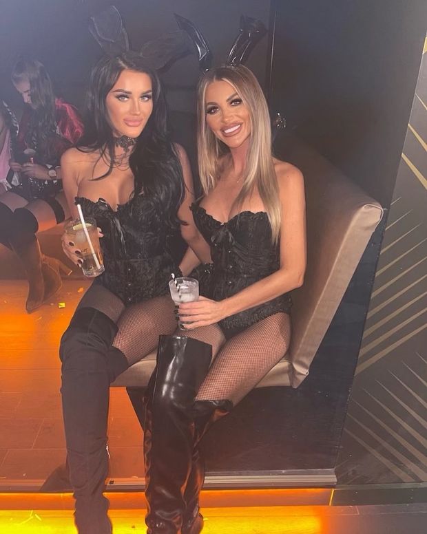 bunnies