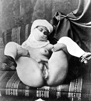 Middle Eastern pussy spread