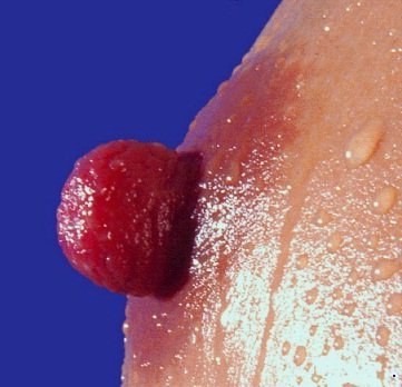 Nipple Close-up