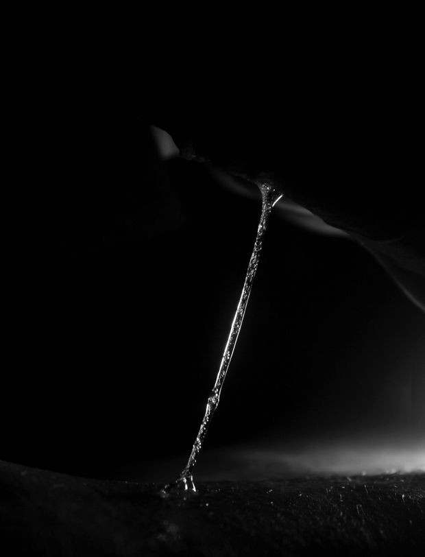 wet bright