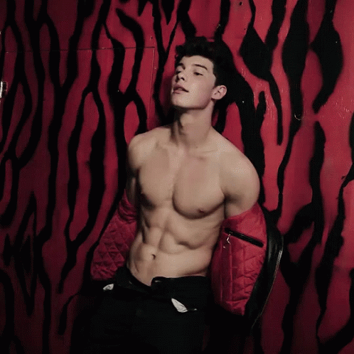 shawn mendes body