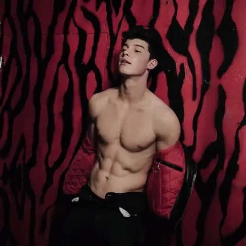 shawn mendes body