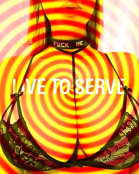 Live to serve