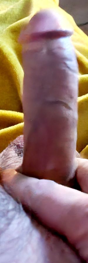 Amateur Cock
