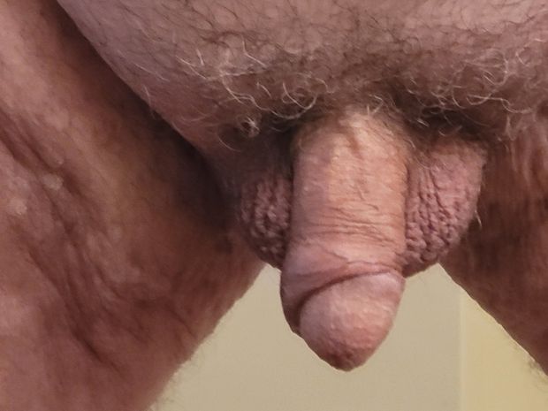 Old cock + balls