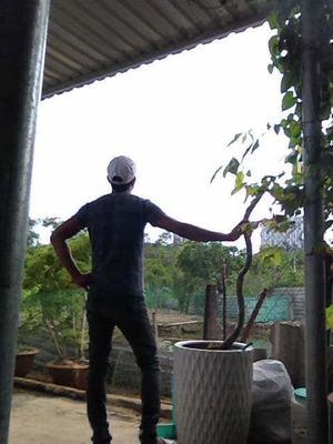 nguyenhungkyanh Picture