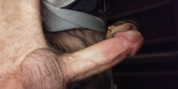 Sexy white man with hard fat cock