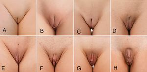 Which one is your favorite