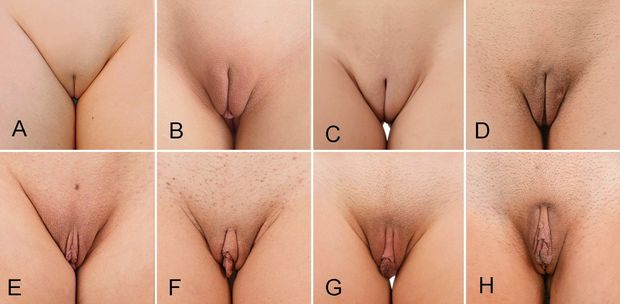 Which one is your favorite