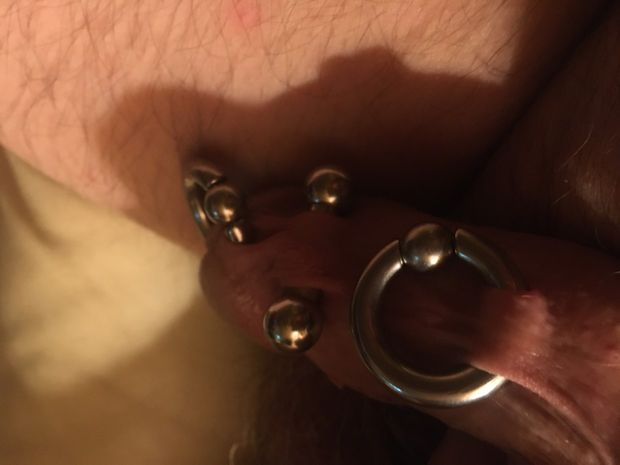 Nice pierced penis