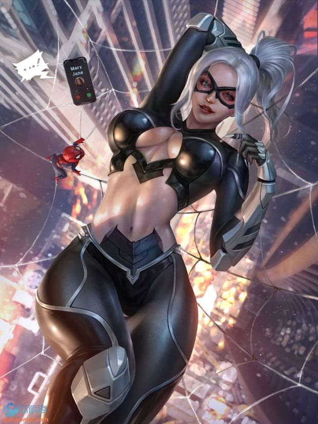 Blackcat in the web.