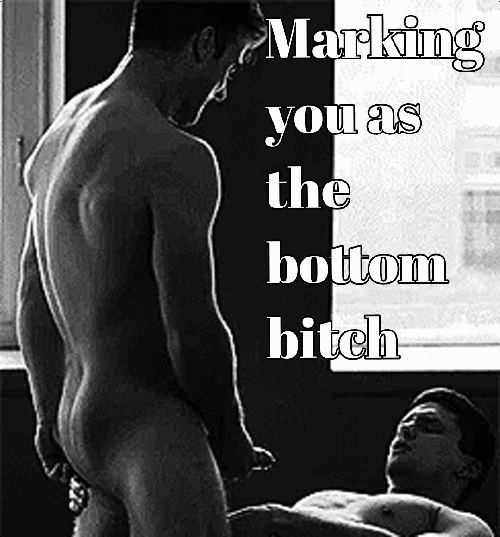 The bull making sure you know your place