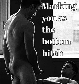 The bull making sure you know your place