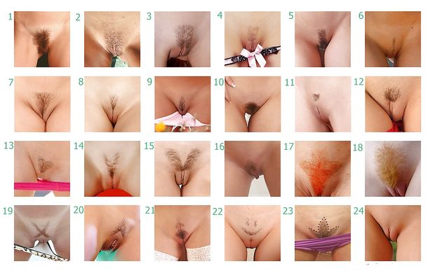 which one is your favorite