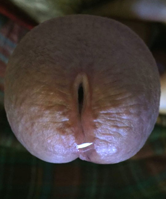 Drink It