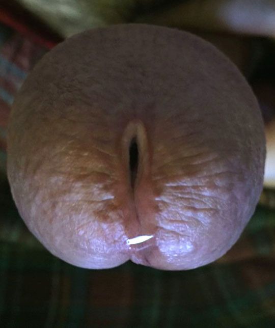 Drink It