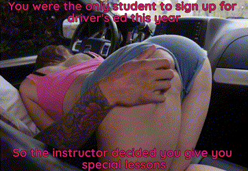 The Driver Instructor