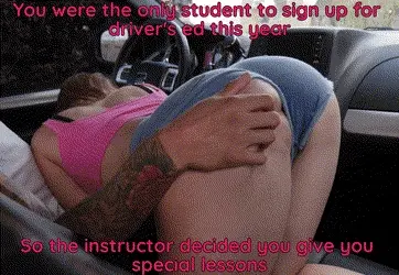 The Driver Instructor