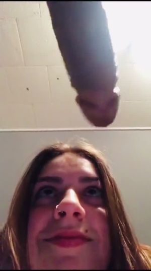 Snow bunny staring at that thing