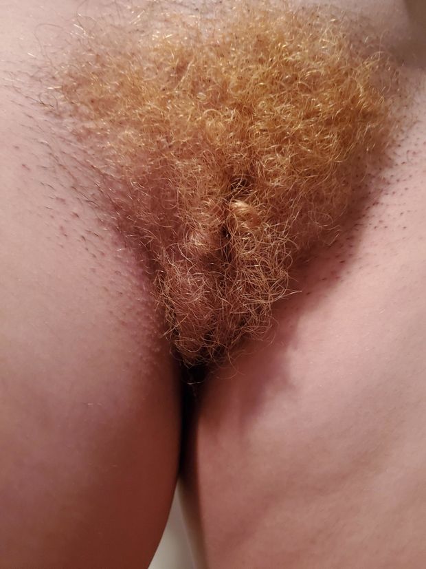 Blond brillo