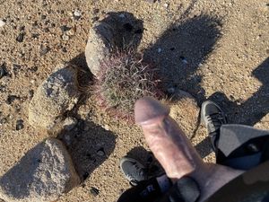 Out riding and came across this cute little cactus ???? check it out