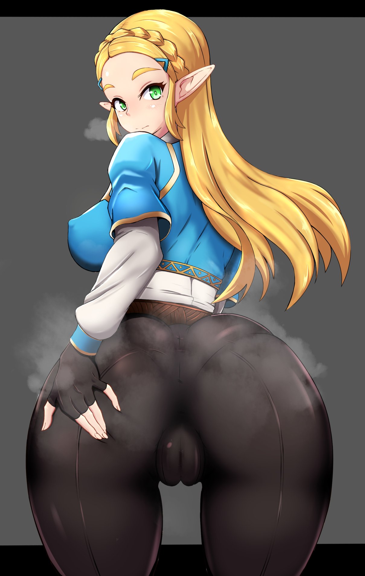 Princess Zelda (The Legend of Zelda Breath of the Wild)