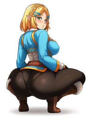 Princess Zelda (The Legend of Zelda Breath of the Wild)