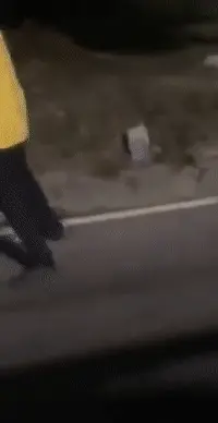 caught !!!
