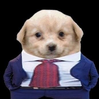 profile pictrue
