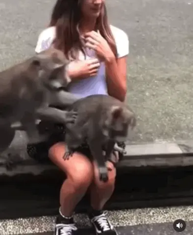 What would you do??