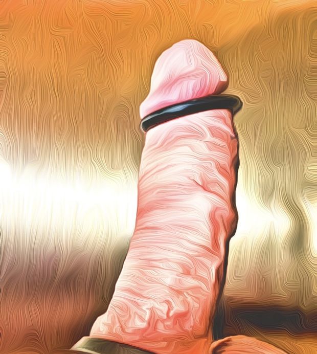 Cock art picture