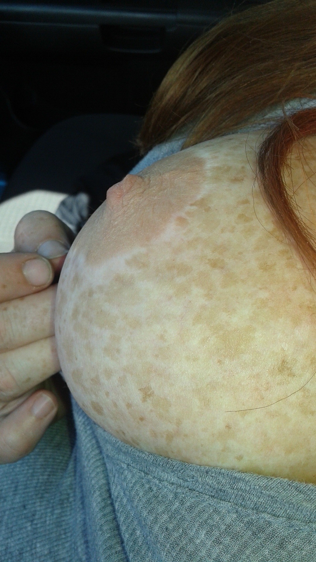 Freckled tit