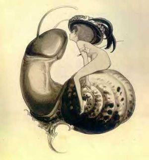 Marqués Franz Von Bayros (Zagreb_Viena)