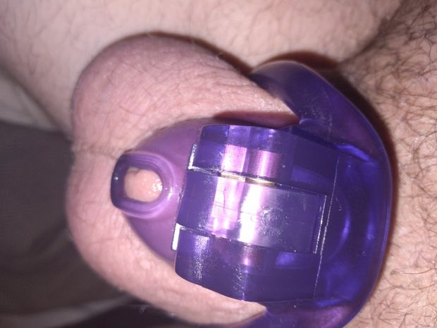 Tiny dick in tiny chastity