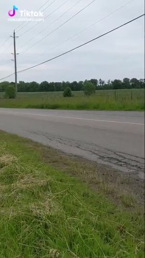 Sexy chick love monster dick hd