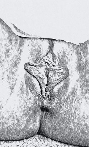 Butterfly pencil pussy