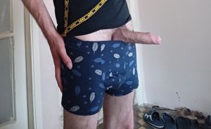 Nice cock from my underwear