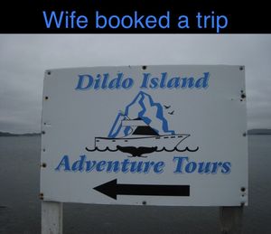 Dildo island