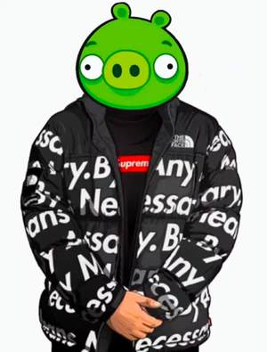 sendnudes693 Picture