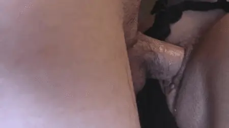 alpha dick breeds pussy