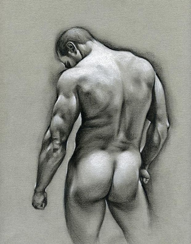 GAY BEAR DRAWINGS