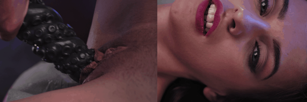 Pussy penetration on Hentaied