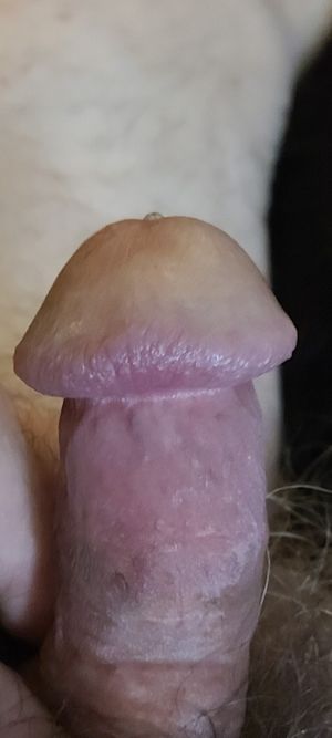 My flared dick head with a drop of precum