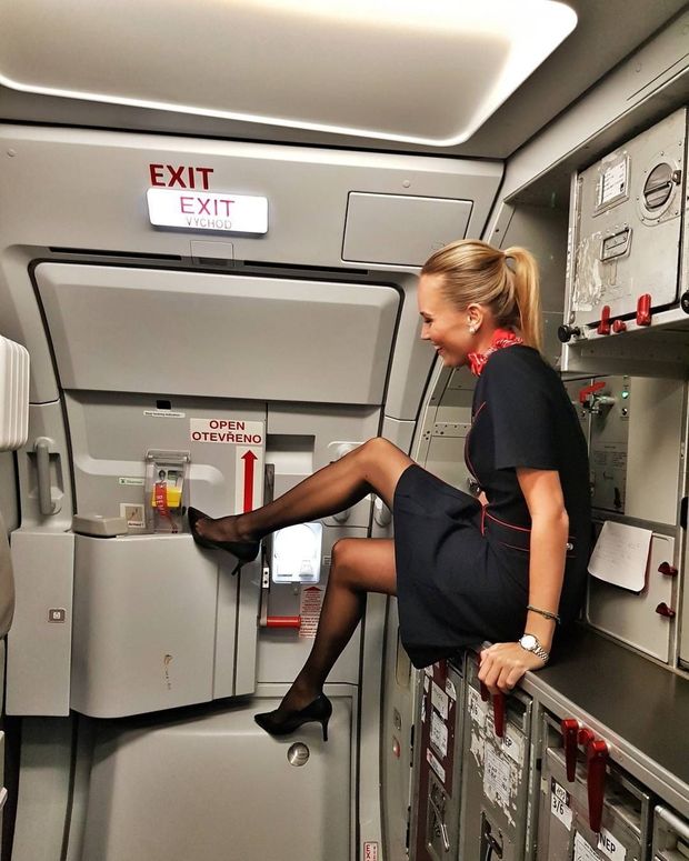 fantastic flight attendant