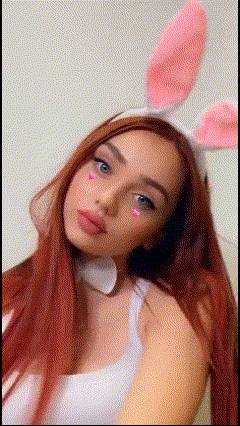 RED RABBIT