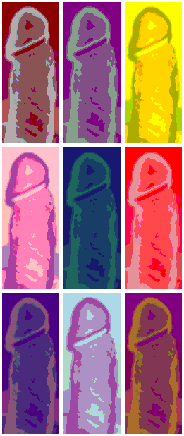 Andy Warhol style cock art